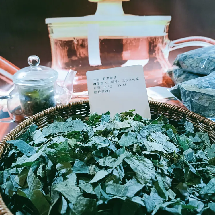 甘肃纯天然野采小圆叶三枝九叶草带枝杆精选丹参