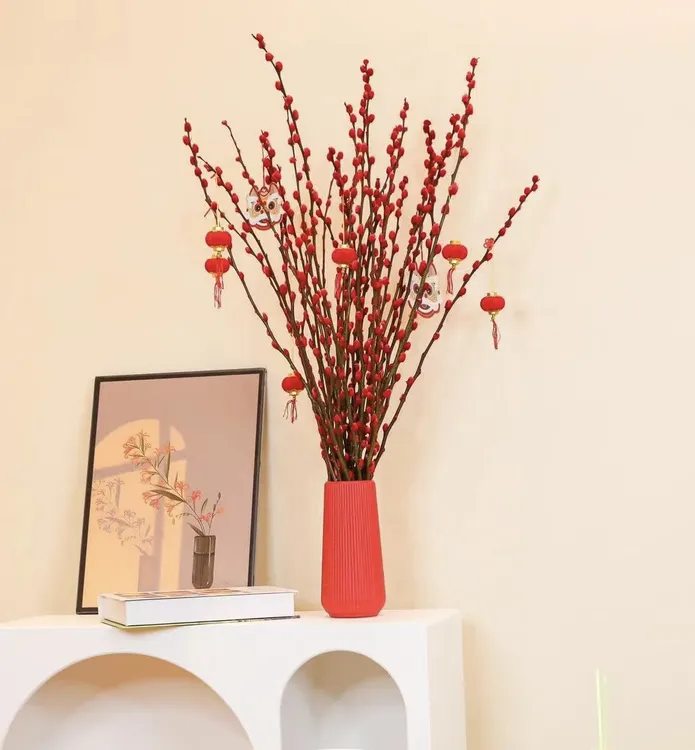 银柳鲜切枝真花年宵花卉室内喜庆耐寒红色绿植喜庆室内摆件