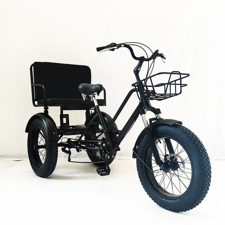 20寸胖胎人力脚蹬变速三轮车带后座椅载人休闲锻炼轻便三轮自行车