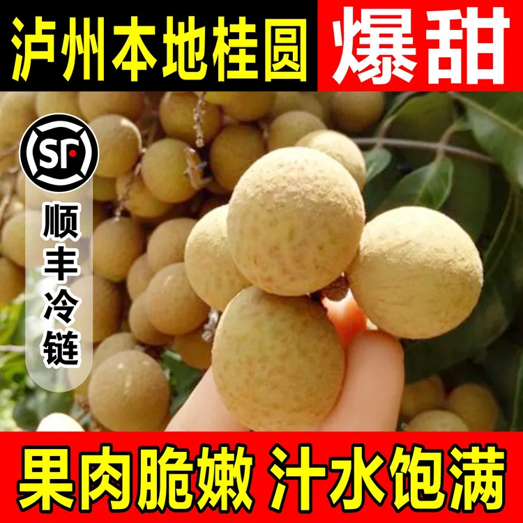 【泸州桂圆本地土桂圆】顺丰纸箱老树桂圆新鲜采摘龙眼10斤桂圆味足