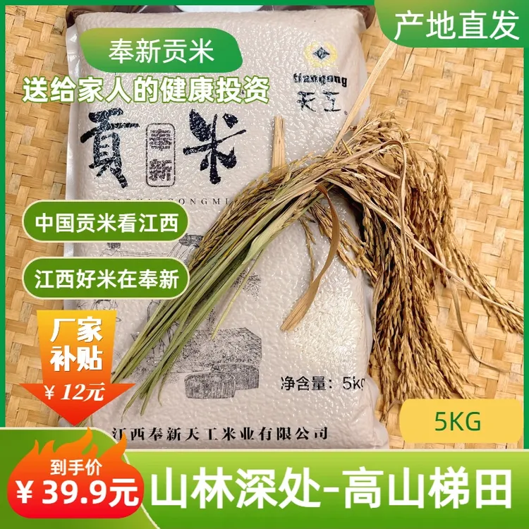 【奉新天工】10斤长粒香贡米猫牙香米晚稻米梯田长粒香米