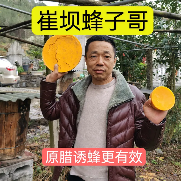 （崔坝蜂子哥）诱蜂蜡纯中蜂蜡养蜂诱蜂老脾蜡中蜂蜡招蜂蜡