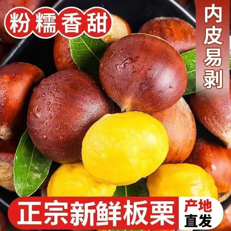 精挑细选2025新货板栗栗子现摘新鲜正宗毛栗子油蔬菜批发新鲜板栗