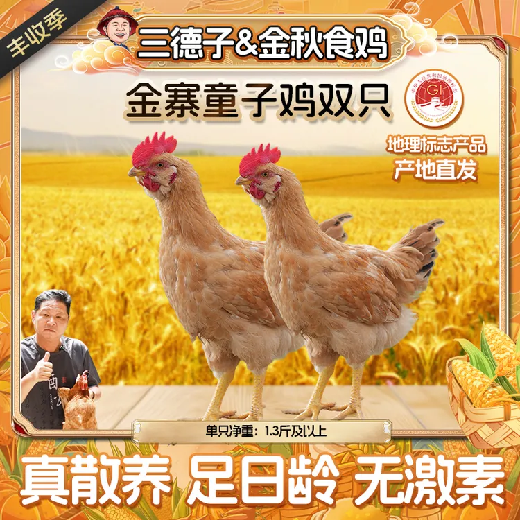 三德子【金寨童子鸡2只】孩子爱吃山地散养跑山鸡清蒸白切安徽发货