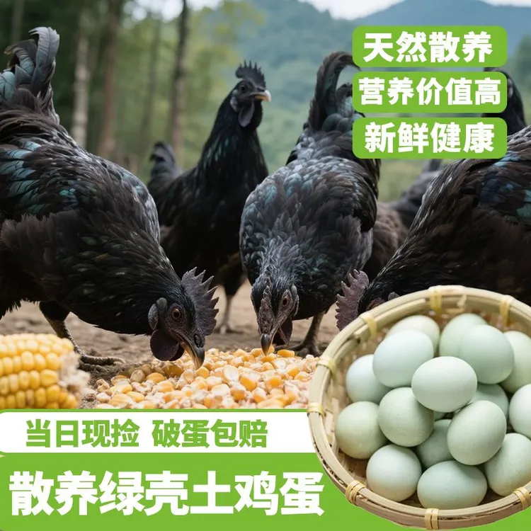 散养乌骨鸡土鸡蛋
