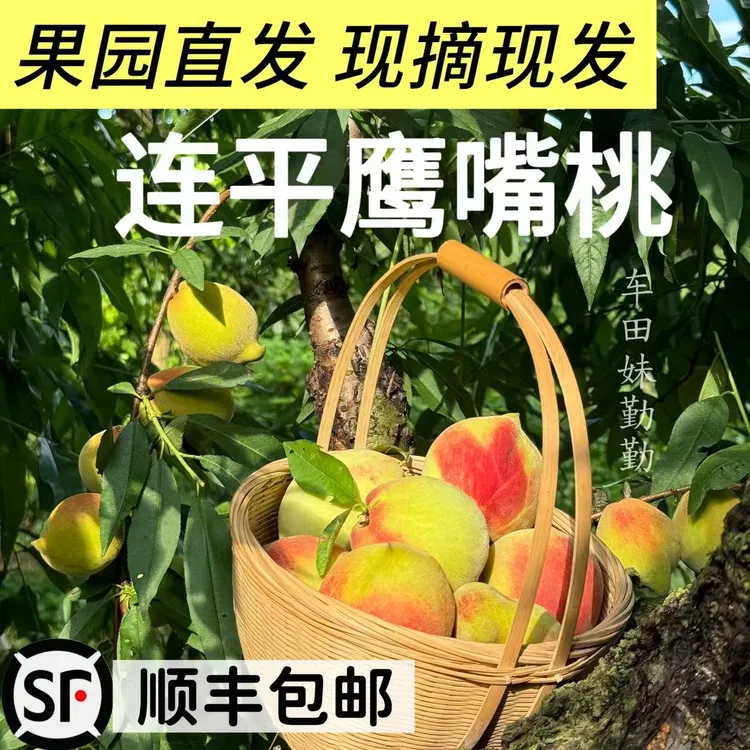 正宗《连平鹰嘴蜜桃》红心多汁脆口新鲜当季现摘