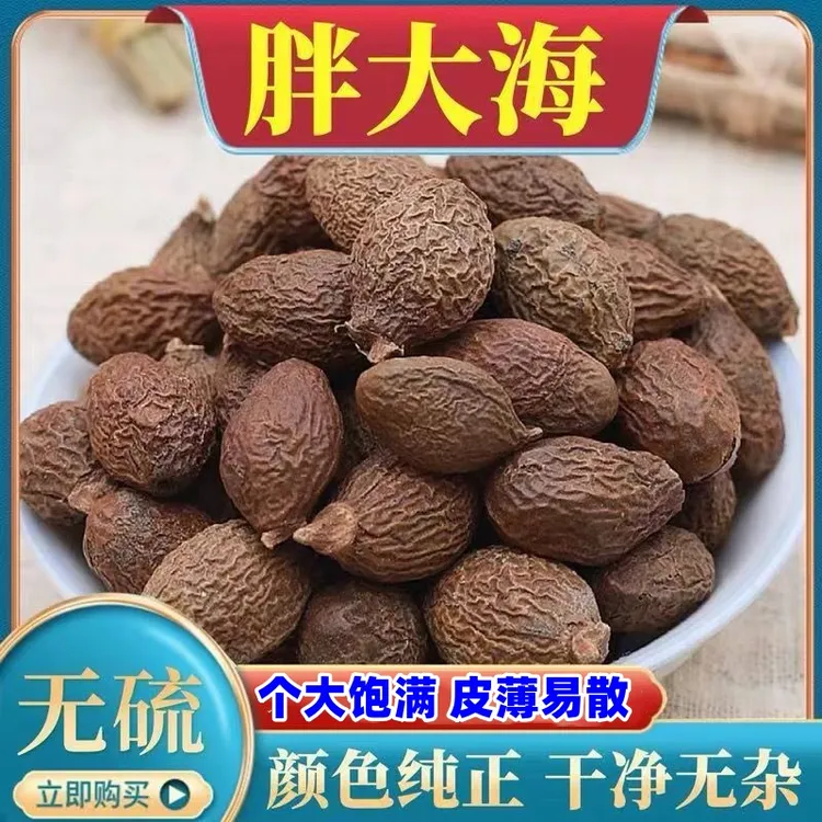 胖大海茶精选新货胖大海正宗广西胖大海个大饱满可搭配罗汉果泡水