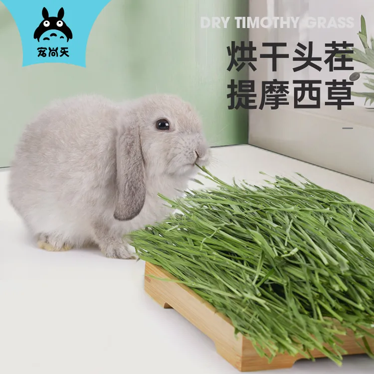 宠尚天2025烘干提摩西草饲料龙猫荷兰猪兔粮晒干新草兔子牧草北提