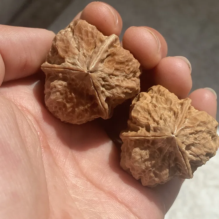 核桃把件云铁名款 蛤蟆人丁三棱