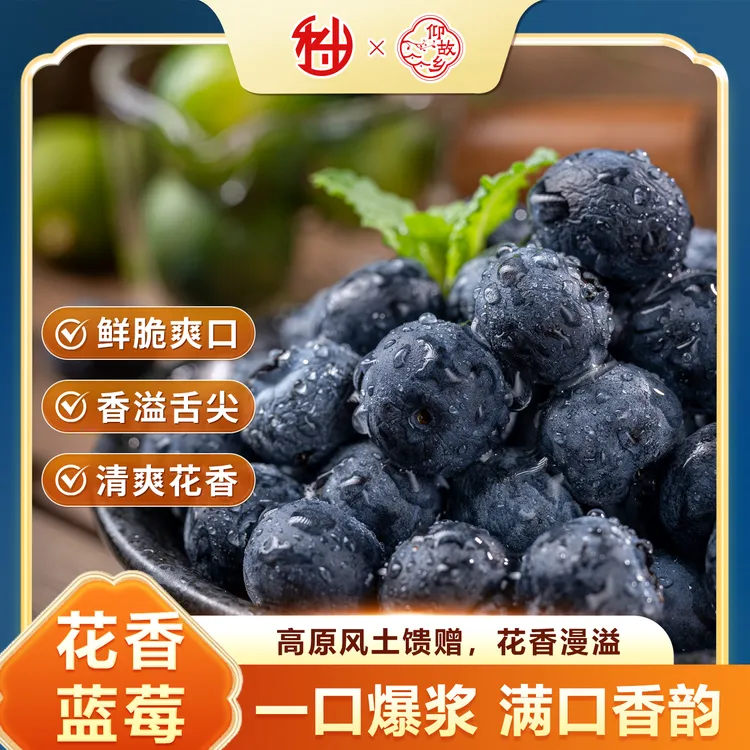 【仰故乡】花香蓝莓现采现发新鲜水果鲜甜多汁当季水果顺丰包邮Q