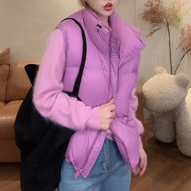 2025秋季新款立领无袖马甲女时尚洋气设计感显瘦外穿潮流纯色衣服