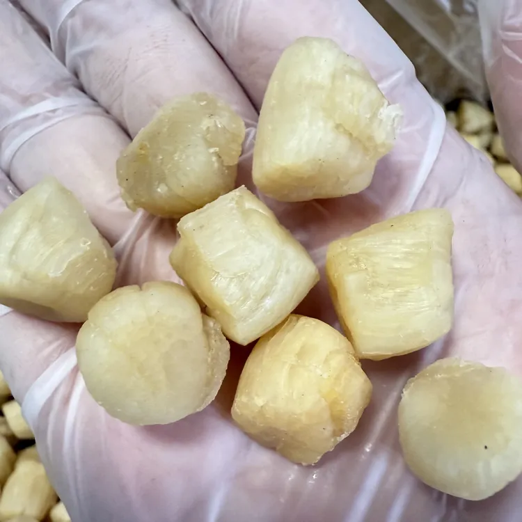 瑶柱干贝扇贝柱 海产品干货渔民晒干煲汤煲粥鲜美500g一斤装包邮