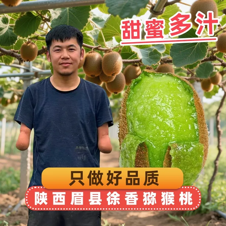 【小鑫专属】陕西徐香猕猴桃正宗徐香猕猴桃大果新鲜应季水果香甜