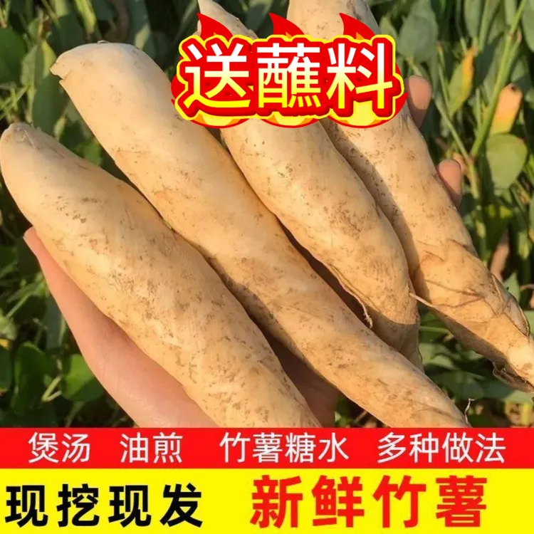 网红新鲜竹薯 竹芋沙谷米无皮京东薯凉粉薯煲汤食材100克—5斤包邮