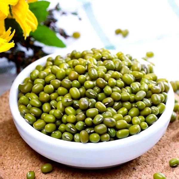 大连瓦房店农家自产新绿豆1kg*2袋皮薄颗粒饱满可发芽绿豆粥冰沙