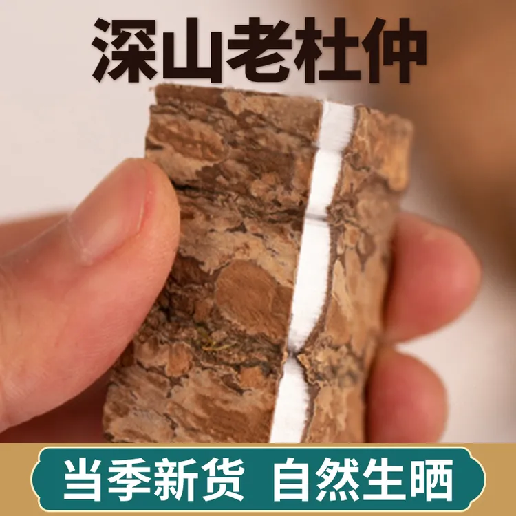 深山老树杜仲中药材500g新鲜干杜肿树皮搭配巴戟天牛大力泡酒煲汤