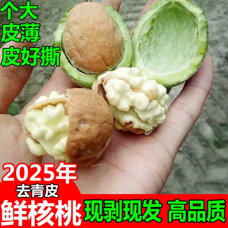 陕西西安去青皮新鲜湿核桃去绿皮薄皮黑桃嫩核桃孕妇秦岭鲜核桃