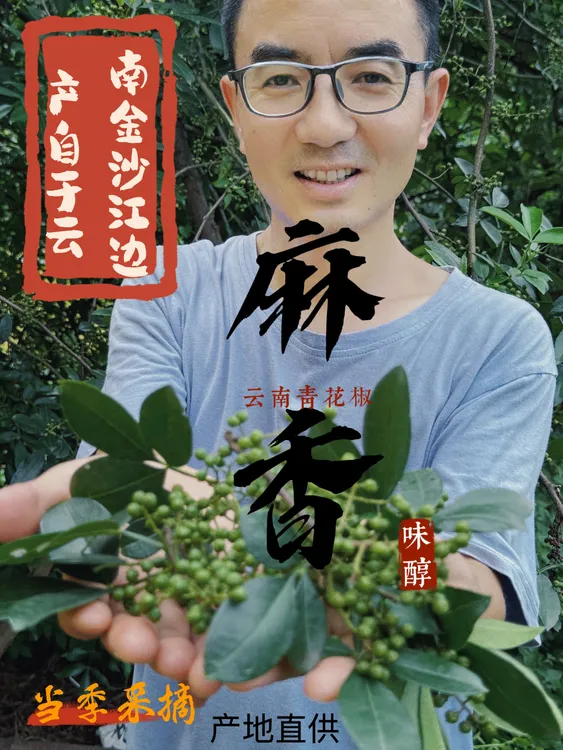 云南特产青花椒 麻香浓郁 原生态纯天然不泡减水 支持开袋试吃50g