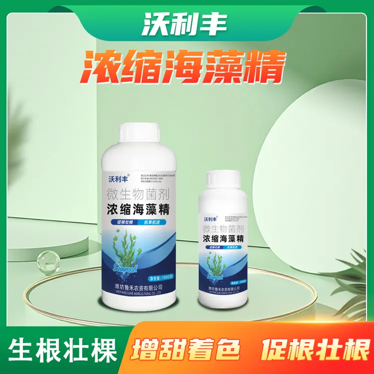 沃利丰浓缩海藻精促根壮根绿叶靓果抗旱抗逆大田作物通用水溶肥