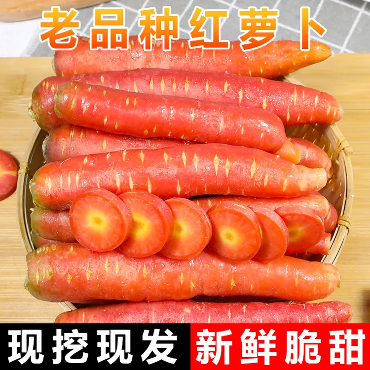 现挖脆甜水果红萝卜水果萝卜新鲜水果蔬菜红皮胡萝卜脆甜拇指萝卜
