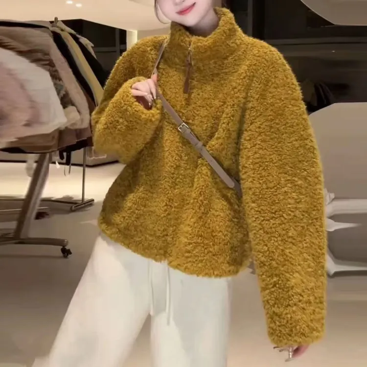 韩系立领仿羊羔毛皮毛一体短款外套女2025秋冬新宽松显瘦减龄上衣