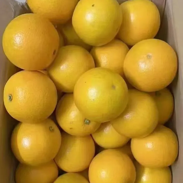 正宗湖南永兴冰糖橙新鲜香甜多汁皮薄肉厚抽象橙子牙龈