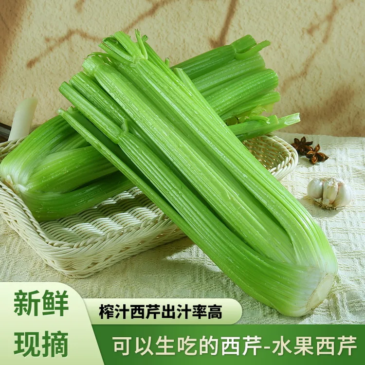 【榨汁西芹】山东水果西芹榨汁西芹芹菜寿光西芹新鲜蔬菜大颗去叶