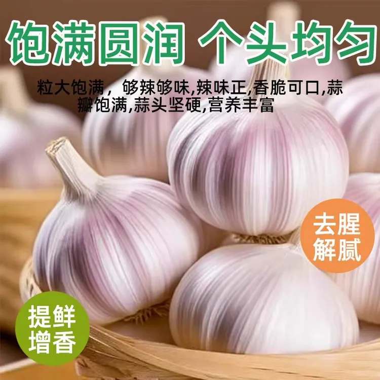 农家新干蒜2025年大蒜自然晒干饱满个大5斤9斤装新鲜大蒜头蒜种