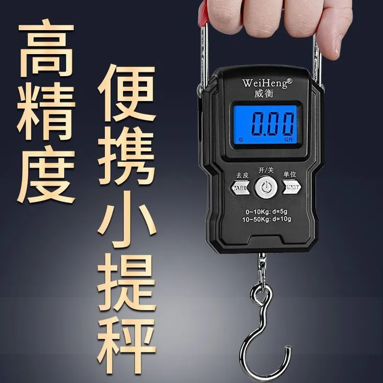德国品质高精度手提电子秤小型便携式家用迷你称鱼器行李称重器