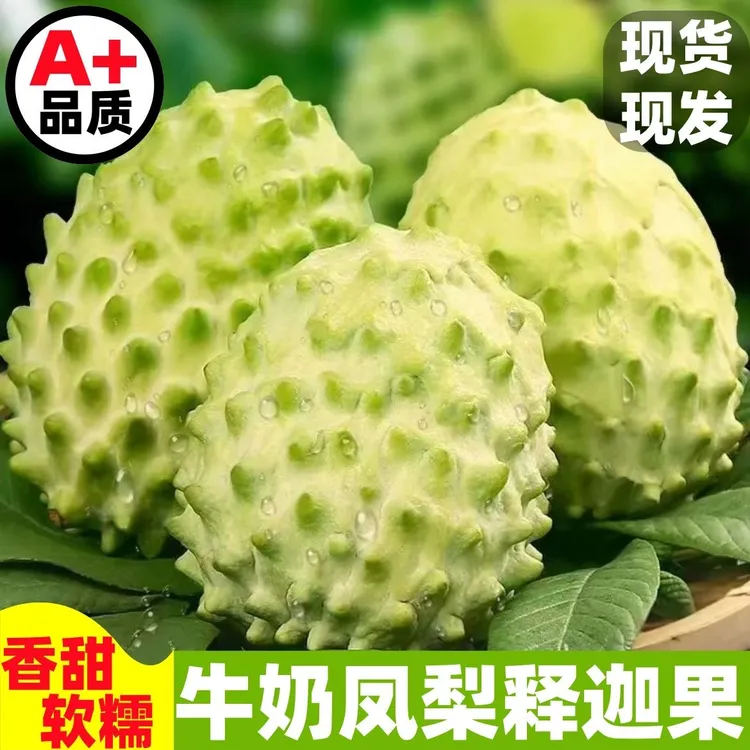 【今日爆款】凤梨牛奶释迦果特大果佛头果番荔枝整箱孕妇新鲜水果