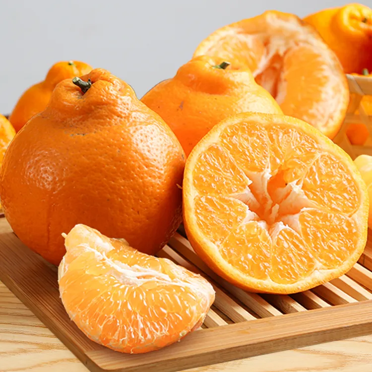 正宗四川春见耙耙柑 鲜果现摘现发 热销柑橘丑橘新鲜当季