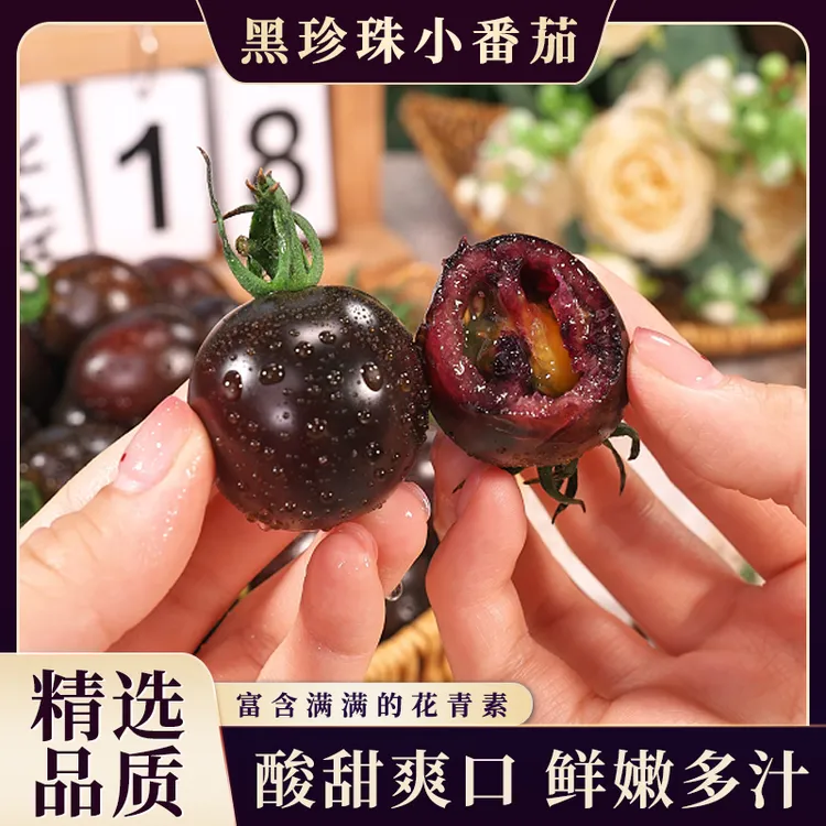 【顺丰】黑珍珠小番茄新鲜应季圣女果樱桃番茄脆皮爆汁精选2斤起