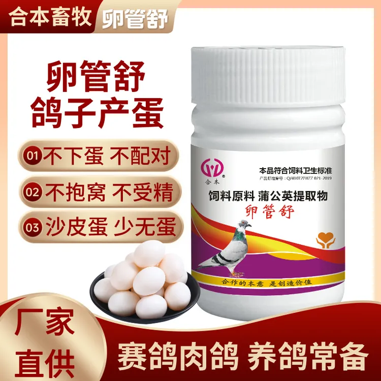 鸽子输卵管炎卵巢炎增产蛋多添加剂