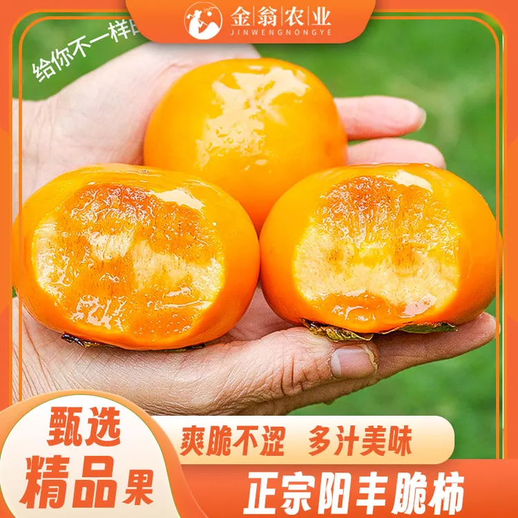 陕西新鲜应季巧克力脆甜柿子口感脆甜产地直发
