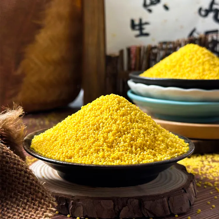 有机小米新鲜现磨东北黑土地当季新米 米油醇厚色泽明亮350g/袋