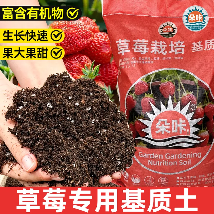 草莓专用土有机营养土阳台盆栽土壤疏松透气轻质泥炭土家用种植土