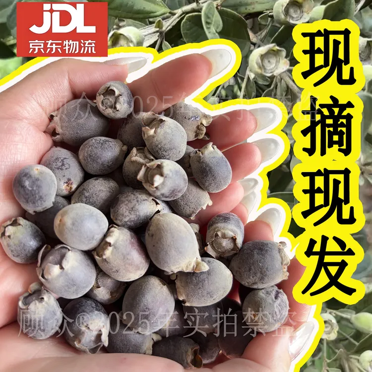【京东物流】新鲜山捻子桃金娘果成熟当季鲜果泡酒专用水果多尼果