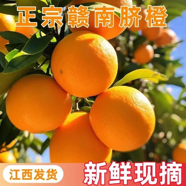正宗江西赣南脐橙新鲜现摘应季水果产地直发赣州甜橙皮薄肉厚