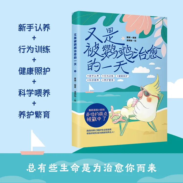 又是被鹦鹉治愈的一天 从选鹦鹉到养老，从饮食到心理