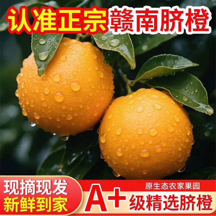 【精品】赣南脐橙江西赣州手剥橙子礼盒 当季新鲜水果榨汁孕妇水果