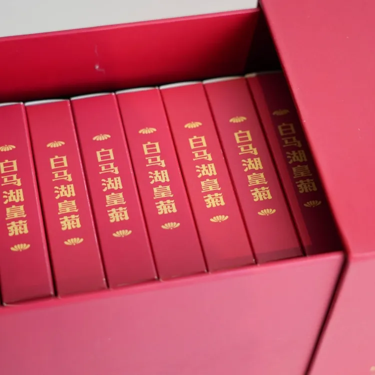 白马湖皇菊（9-10cm）