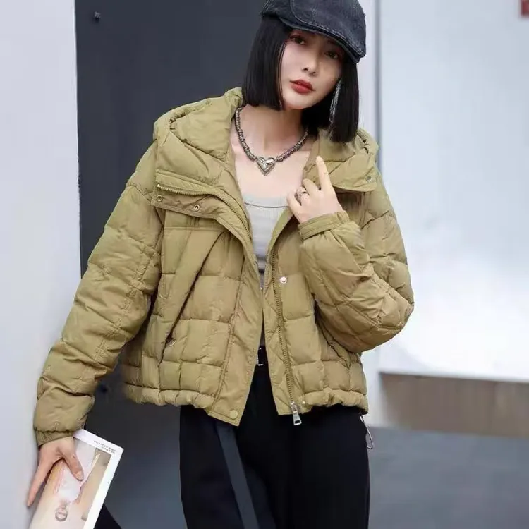 838052025年秋冬新款短款新国标白鸭绒轻巧休闲宽松连帽羽绒服