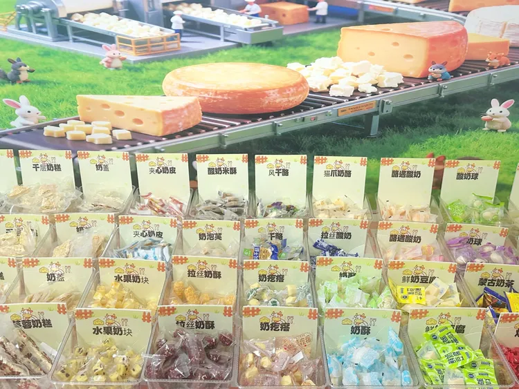 【芝然牧场奶制品组合】内蒙特产奶酪奶疙瘩烤奶皮混装