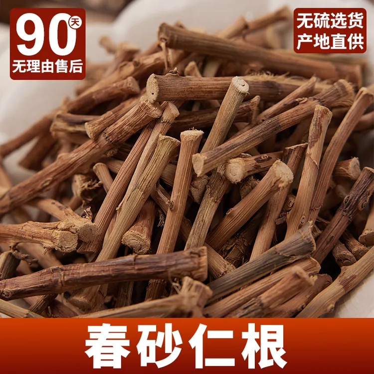 春砂仁根正宗阳春特产广东阳江泡茶砂仁根干春沙仁干根煲汤煮水