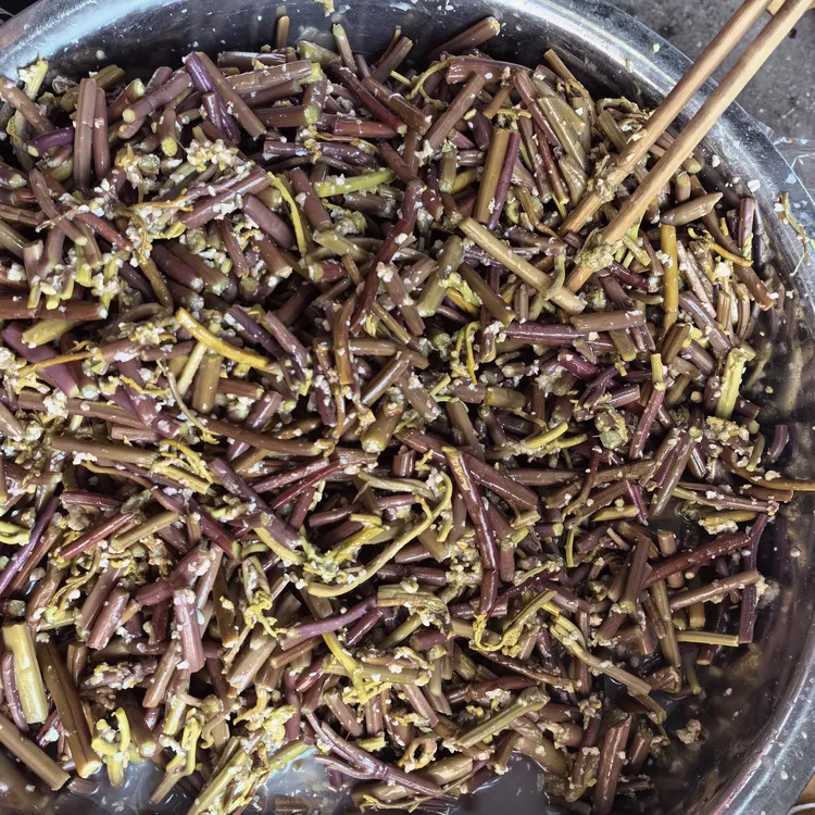 贵州黔东南黎平特产酸蕨菜
