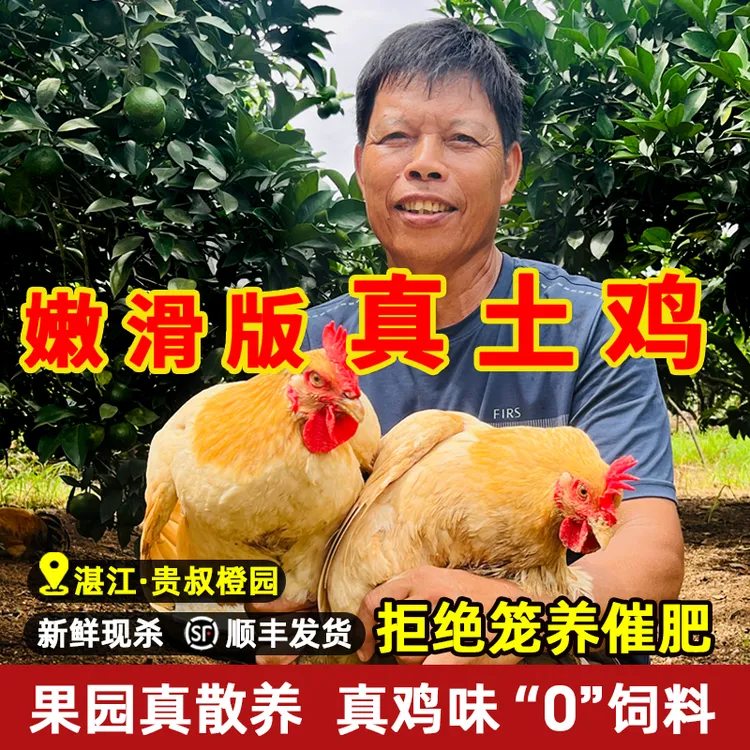 湛江鸡正宗果园鸡三黄鸡走地鸡新鲜广东白切鸡老母鸡月子鸡土鸡