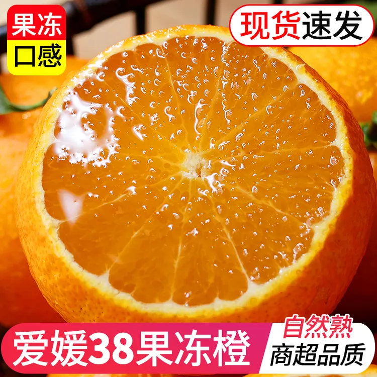 【只卖大果】正宗爱媛果冻橙5斤橙子柑橘蜜桔冰糖橙新鲜维C水果多汁