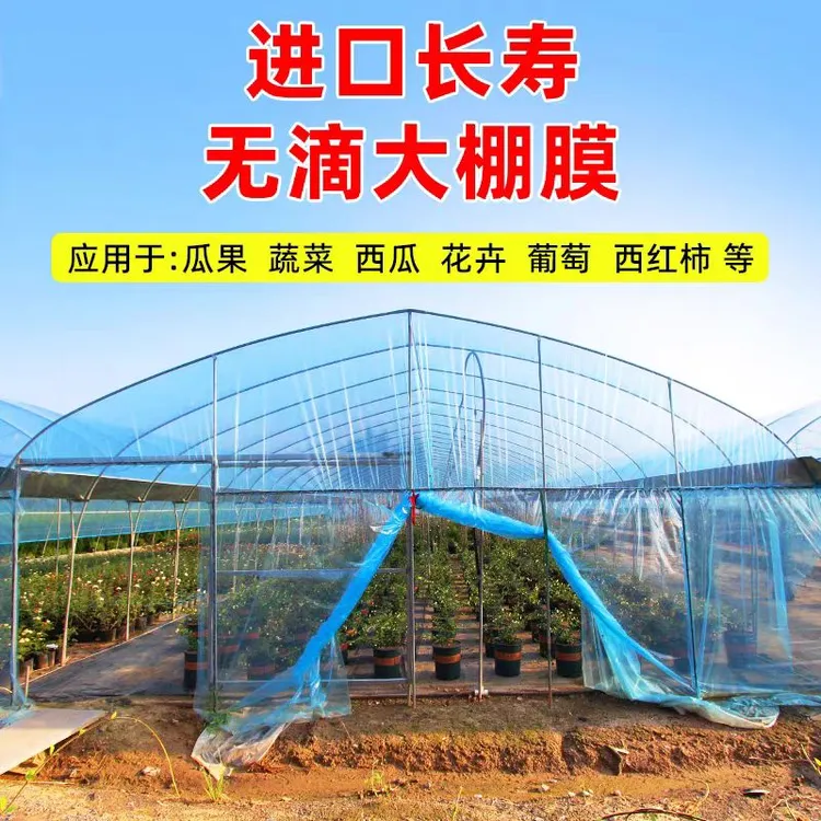加厚大棚塑料膜透明大棚膜po膜蔬菜大棚专用薄膜塑料布农用保温膜