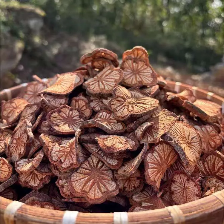 红藤（血塞通）精品、野生