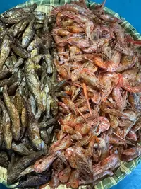高沙本地烟熏的小鱼仔虾米点进去选择